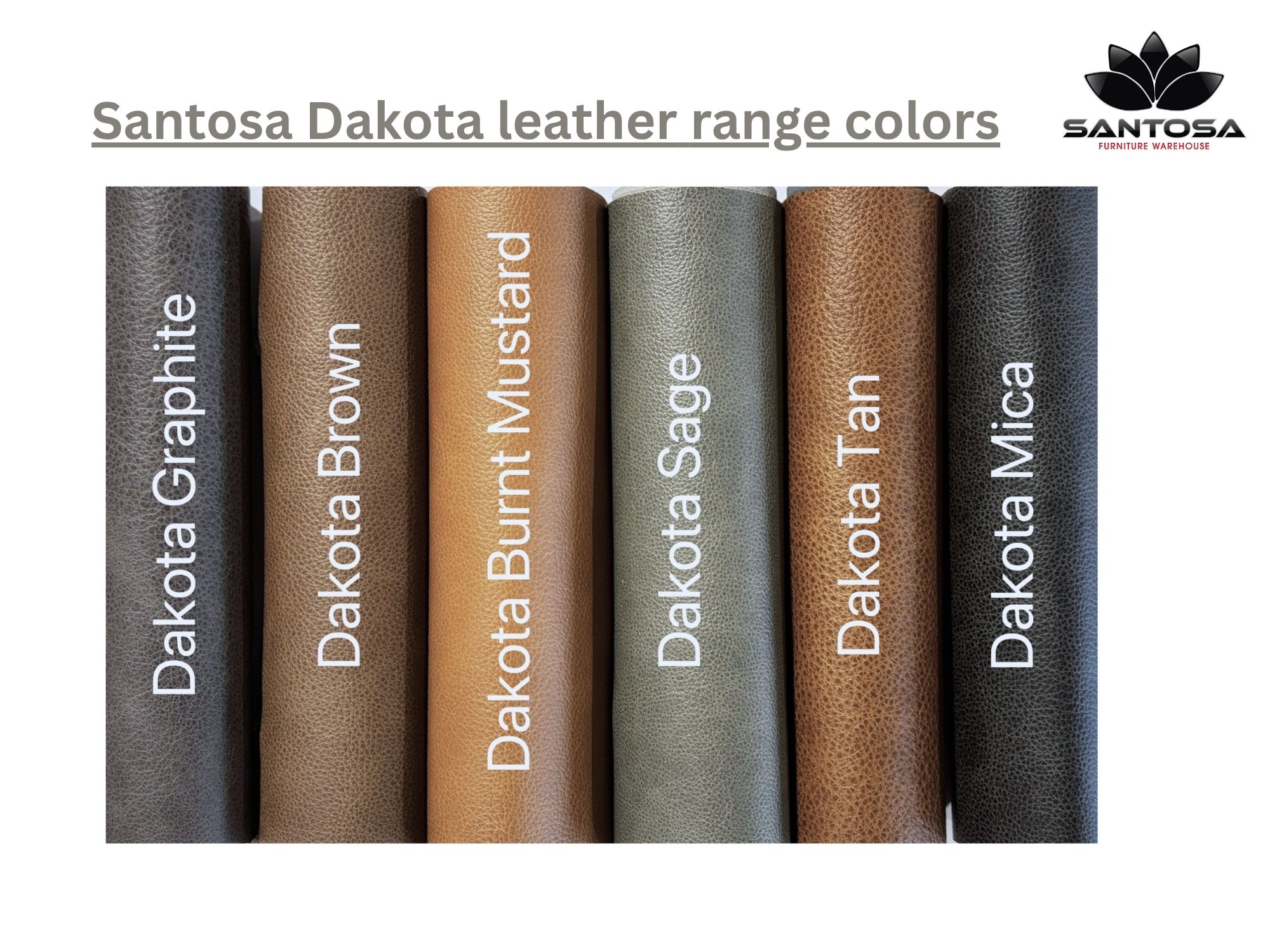 Dakota Leather